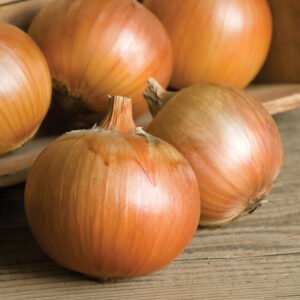 Onion