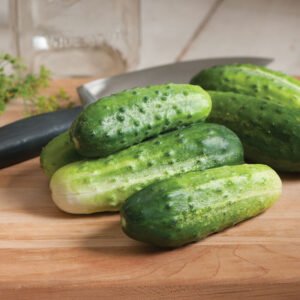Cucumber H-19 Little Leaf (Organic)