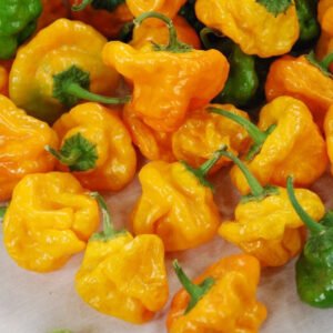 Scotch Bonnet Pepper-Yellow