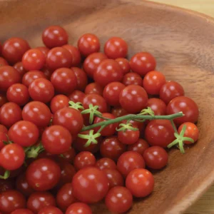 tomato plummy (hybrid)