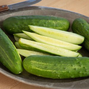 Cucumber- Hybrid