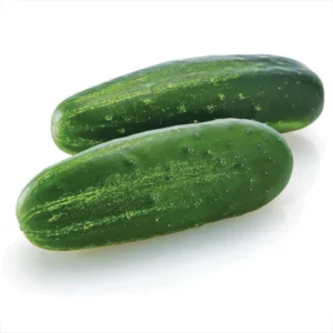 Cucumber- Hybrid